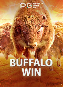 พนันบอล โบนัส 100 คุ้มค่ากับการเดิมพันมากแค่ไหน